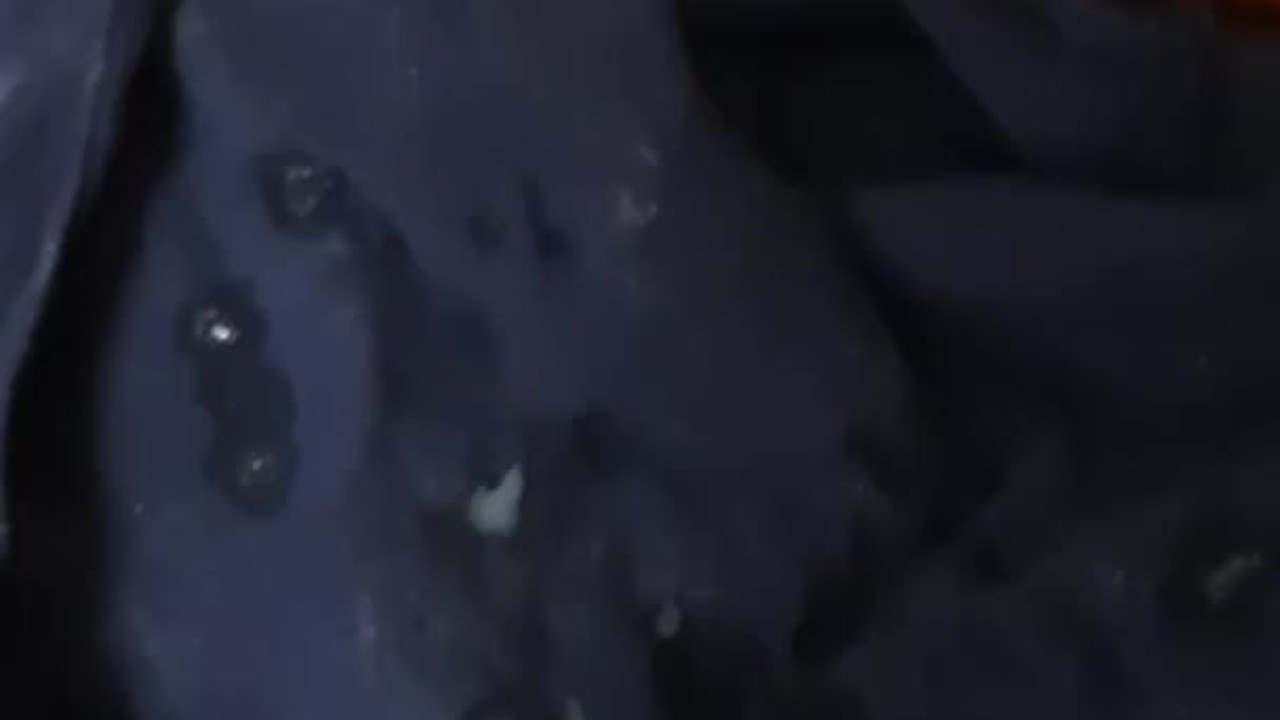 cumshot on stepsister's clothes