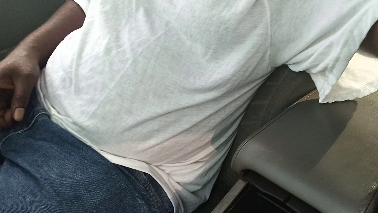 Sultry Arabian Beauty Takes a Wild 300 Mile Trip