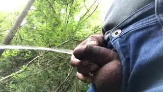 Public Piss in the Park from a Hard Cock
